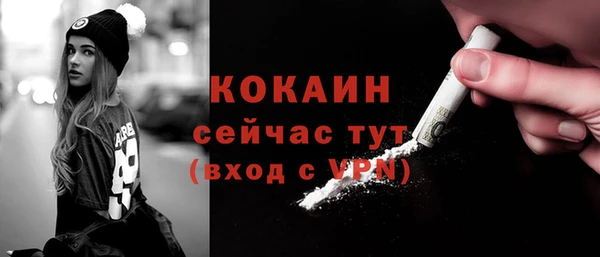 метадон Богданович