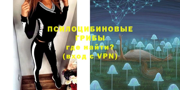 метадон Богданович