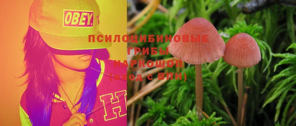 ГАЛЛЮЦИНОГЕННЫЕ ГРИБЫ Богородицк